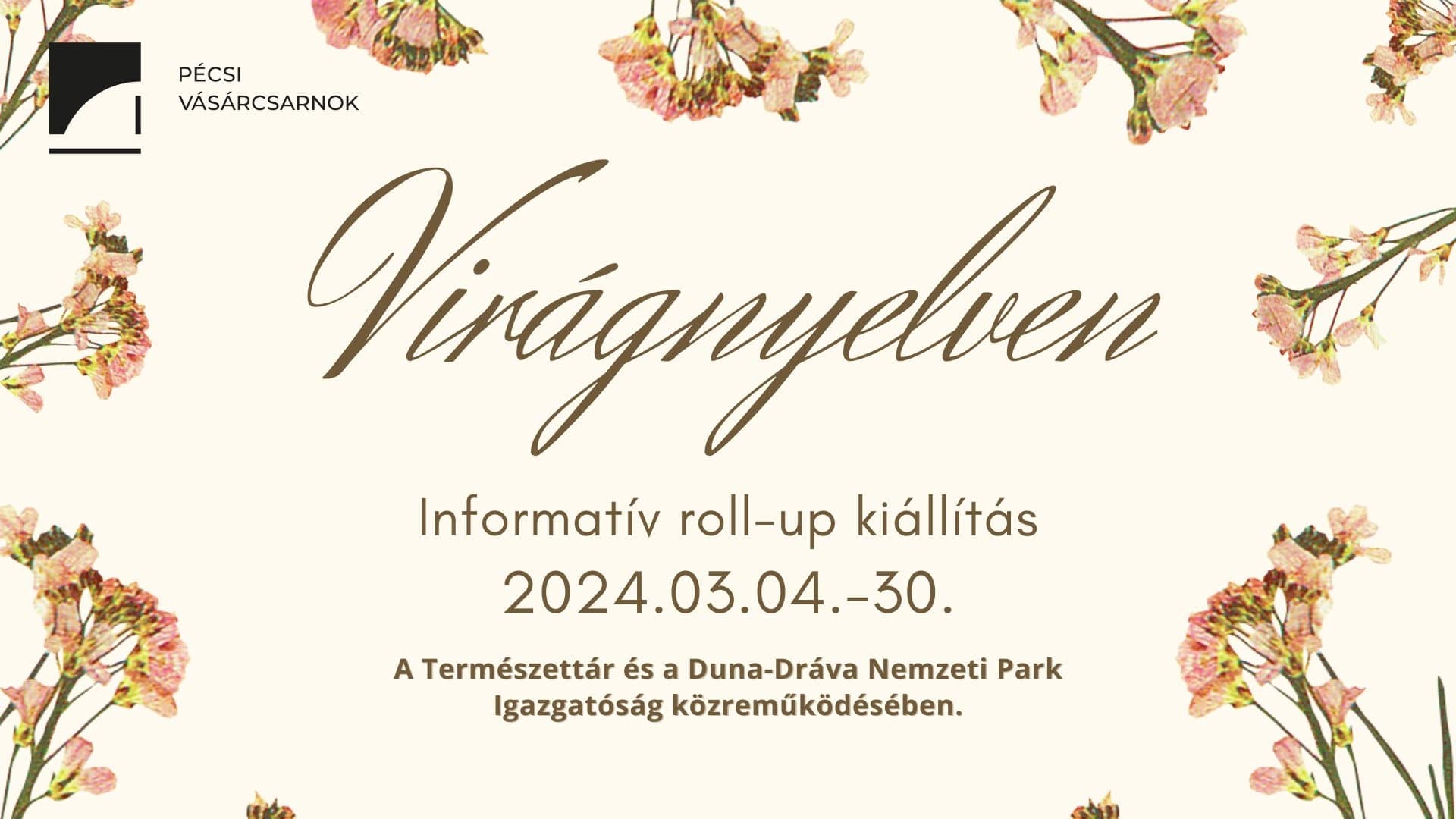 Virágnyelven - Informatív roll-up kiállítás