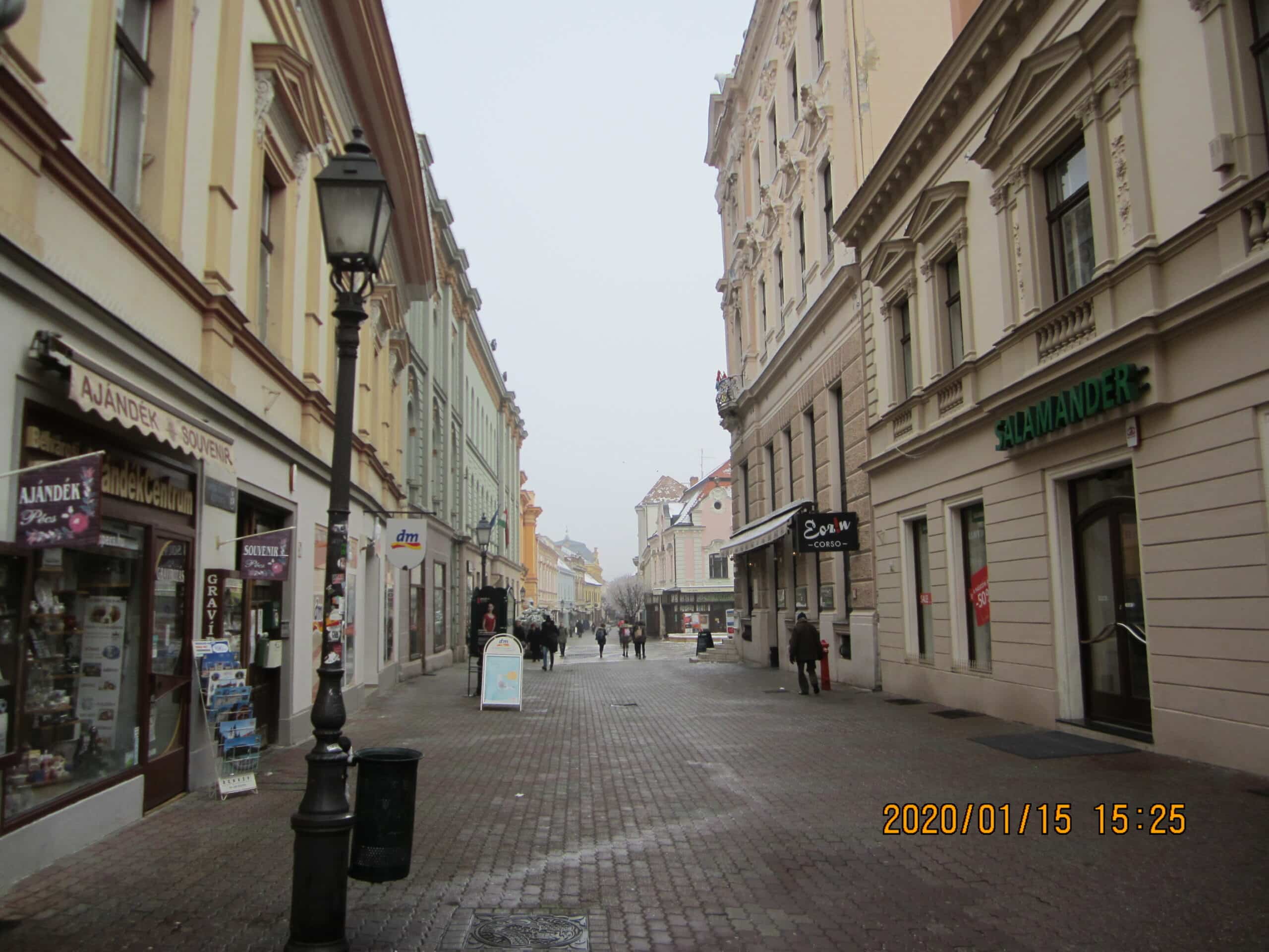 Img 4525